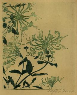 Arthur Illies - 2 Bll.: Jelänger-Jelieber. Selbstbild