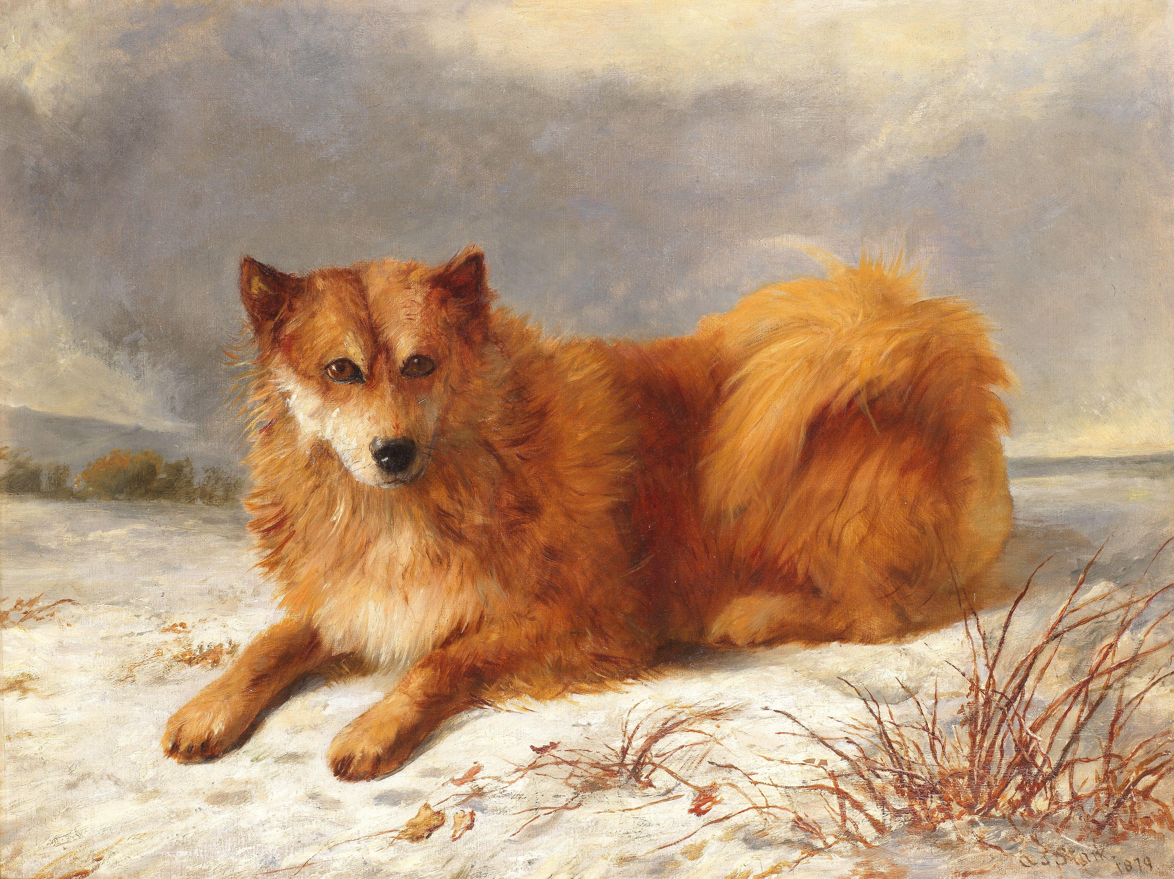 Arthur James Stark - Husky in a snowy landscape