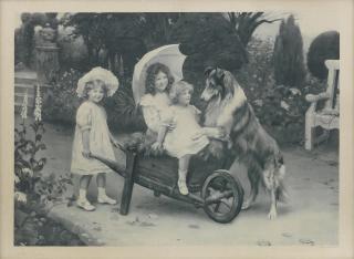Arthur John Elsley - Children and a Rough Collie