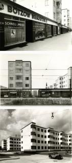 Arthur Köster - Friedrich-Ebert Siedlung