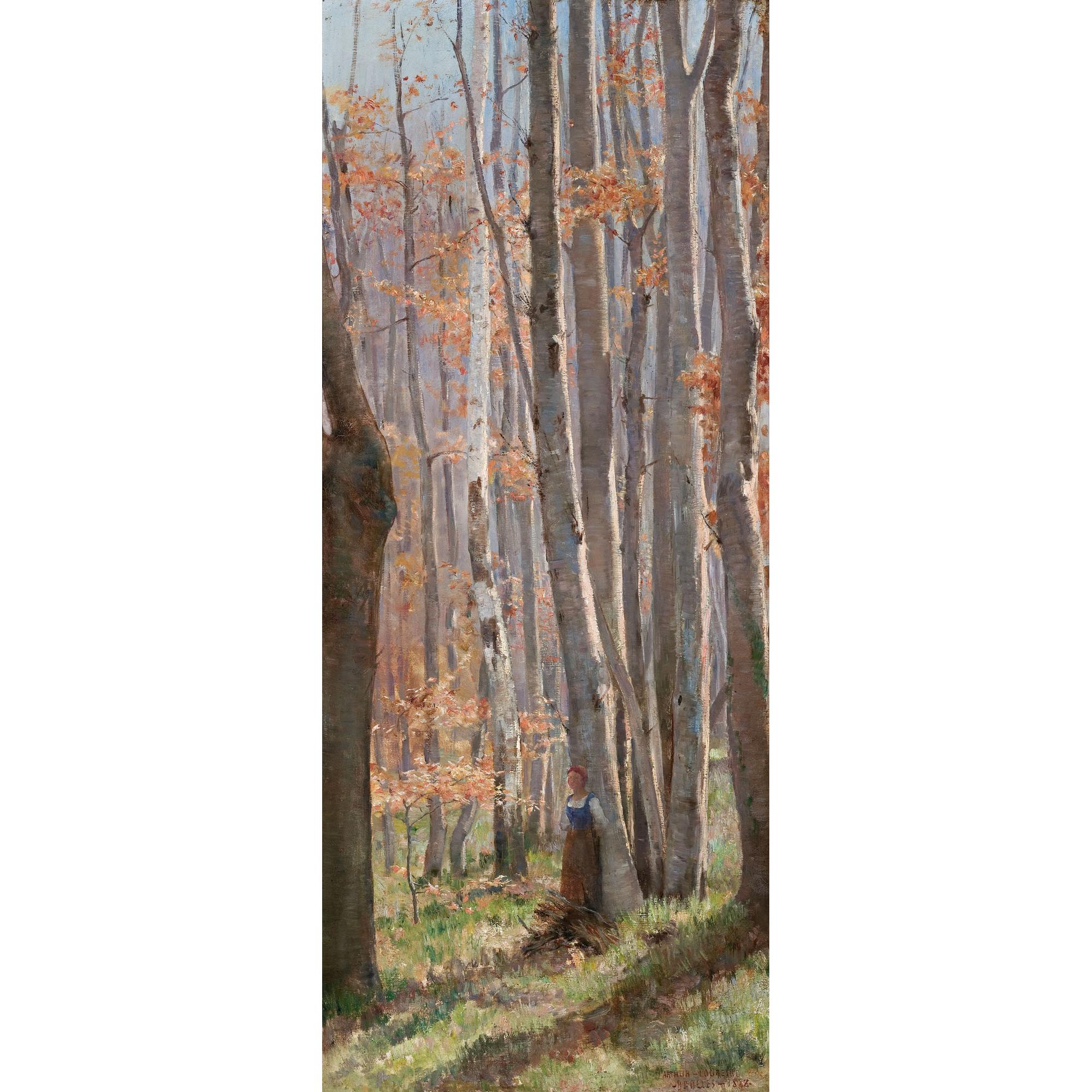 Arthur Loureiro - Australian At The Edge Of The Beech Forest, Fontainebleau