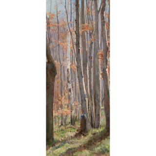 Arthur Loureiro - Australian At The Edge Of The Beech Forest, Fontainebleau