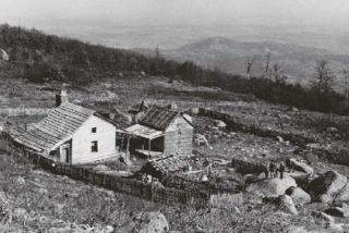 Arthur Rothstein - Untitled (Farm)