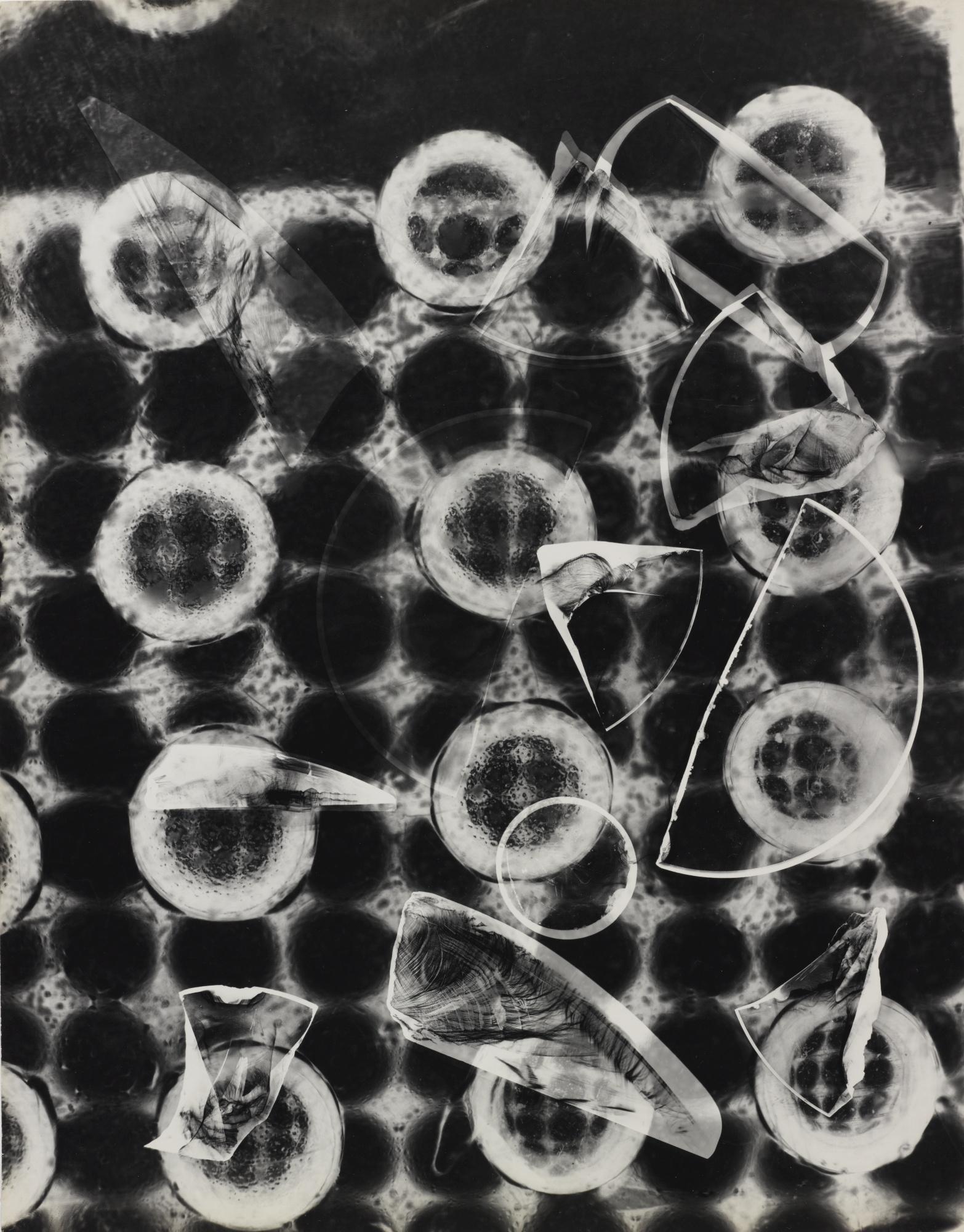 Arthur Siegel - Photogram