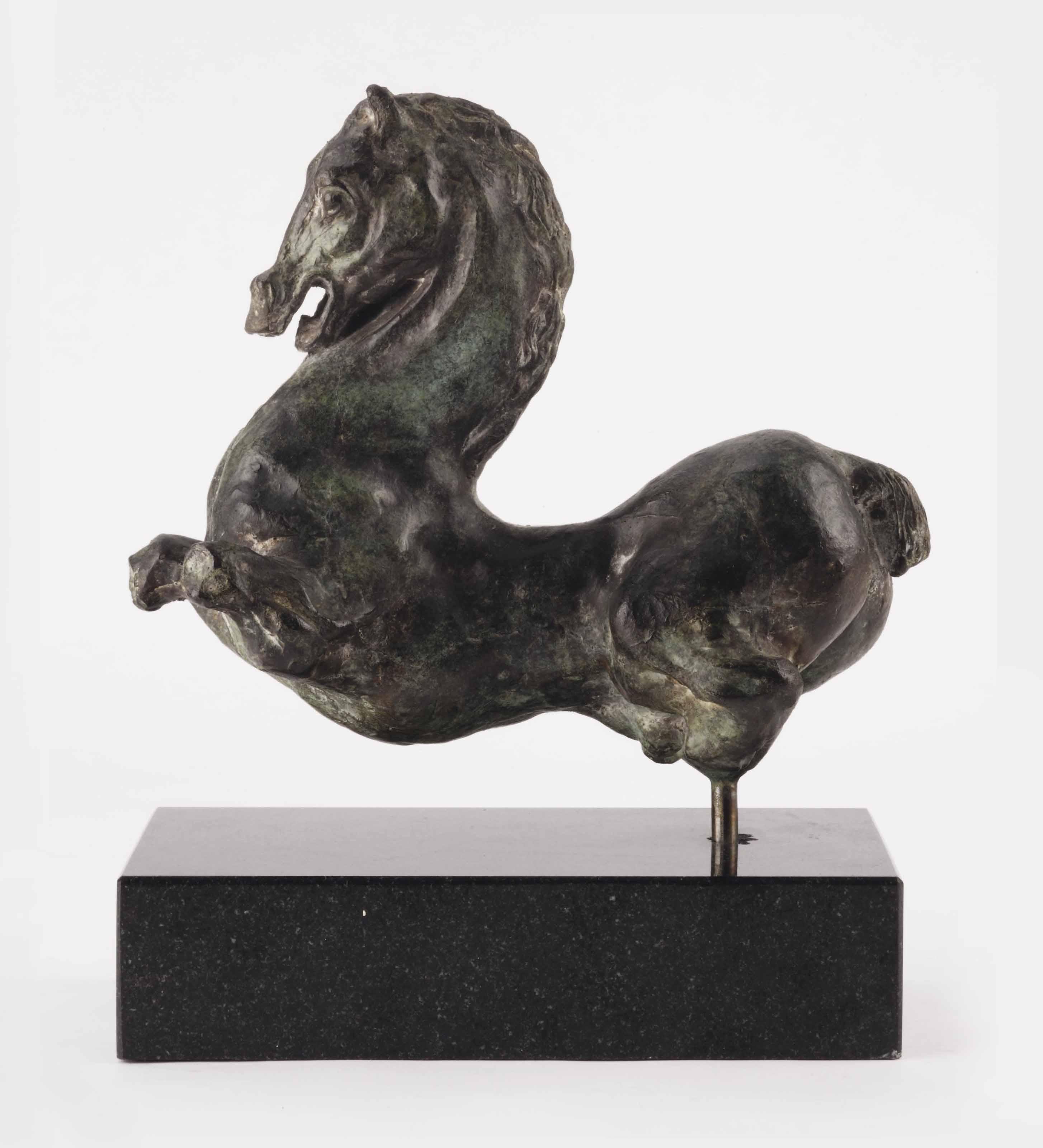 Arthur Spronken - Horse