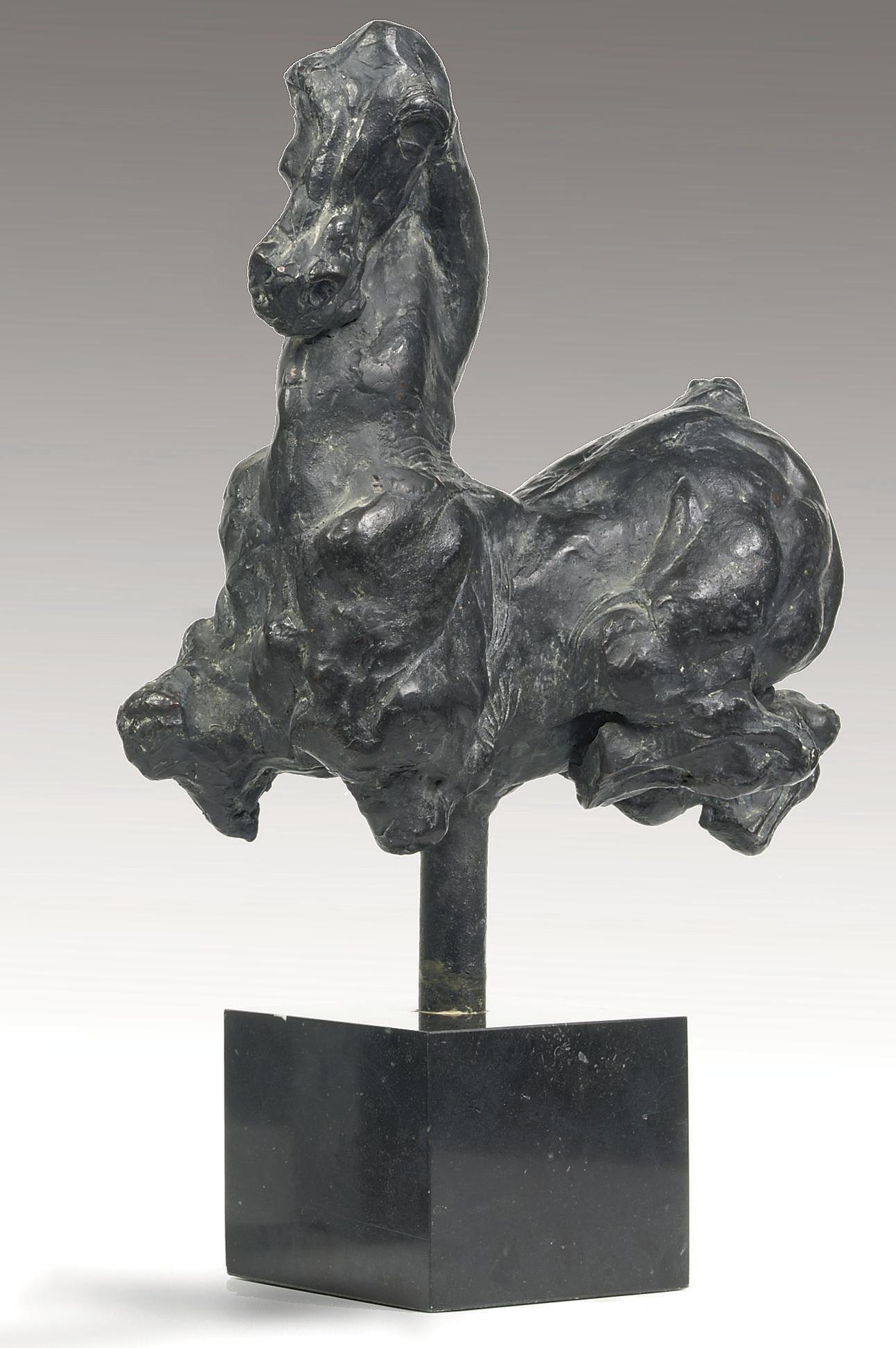 Arthur Spronken - Horse