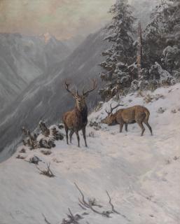 Arthur Thiele - Red deer grazing in a mountainous winter landscape