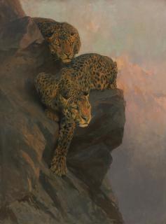 Arthur Wardle, R.I., R.B.C. - British leopards On The Lookout