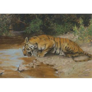 Arthur Wardle, R.I., R.B.C. - British Tiger Drinking