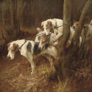 Arthur Wardle, R.I., R.B.C. - Fox terriers