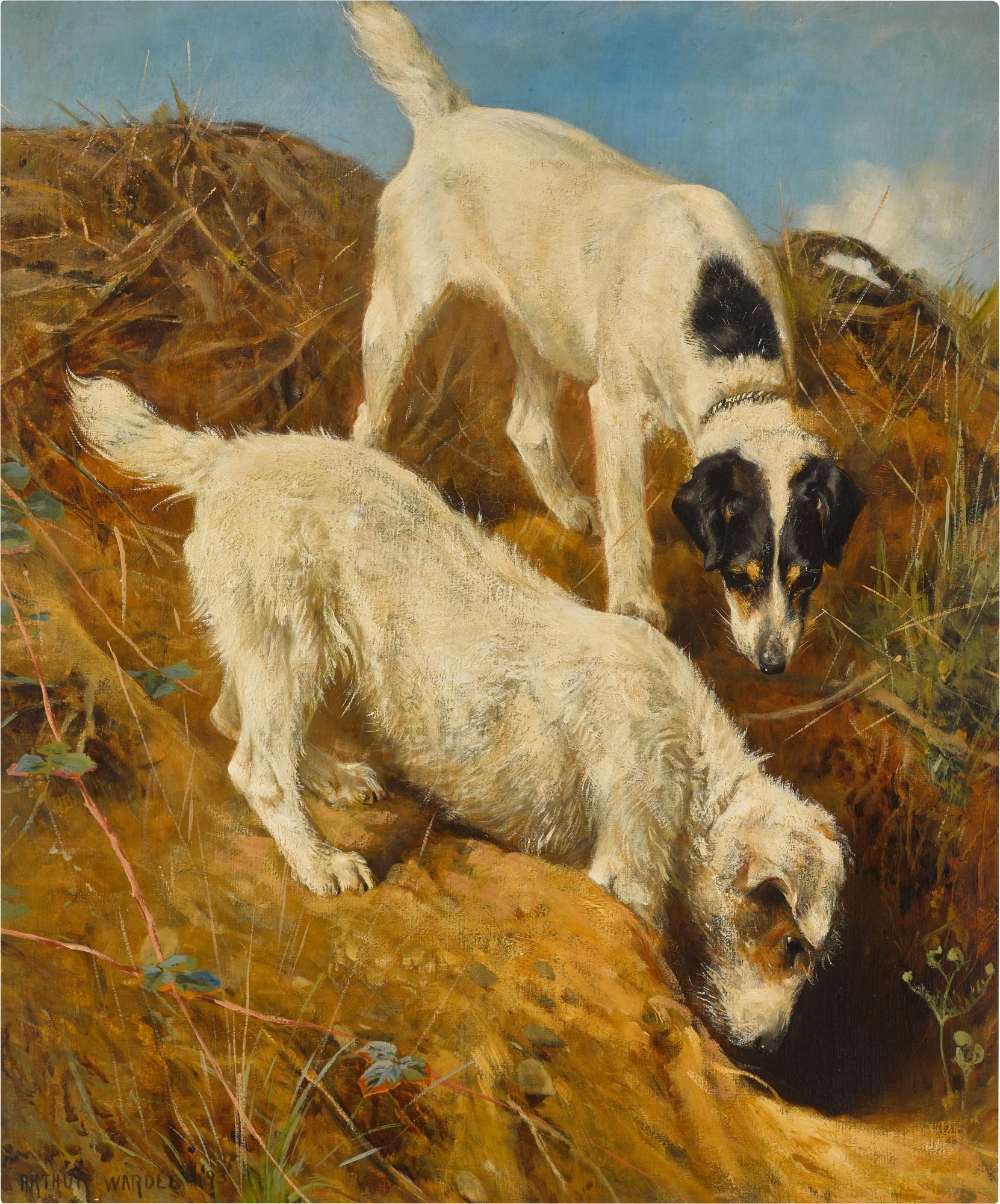 Arthur Wardle, R.I., R.B.C. - Gone to Ground