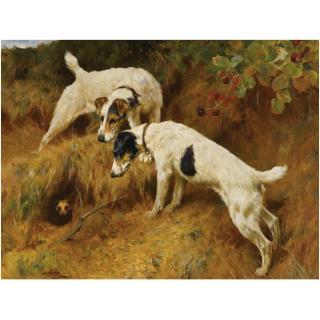 Arthur Wardle, R.I., R.B.C. - No-One Home