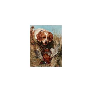 Arthur Wardle R.I., R.B.C. - Retrieved