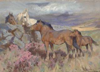 Arthur Wardle, R.I., R.B.C. - Shetland ponies