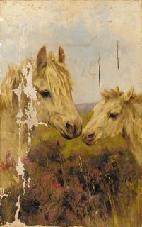 Arthur Wardle, R.I., R.B.C. - Shetland ponies