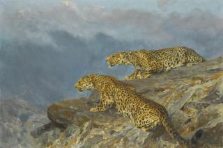 Arthur Wardle, R.I., R.B.C. - Stealth