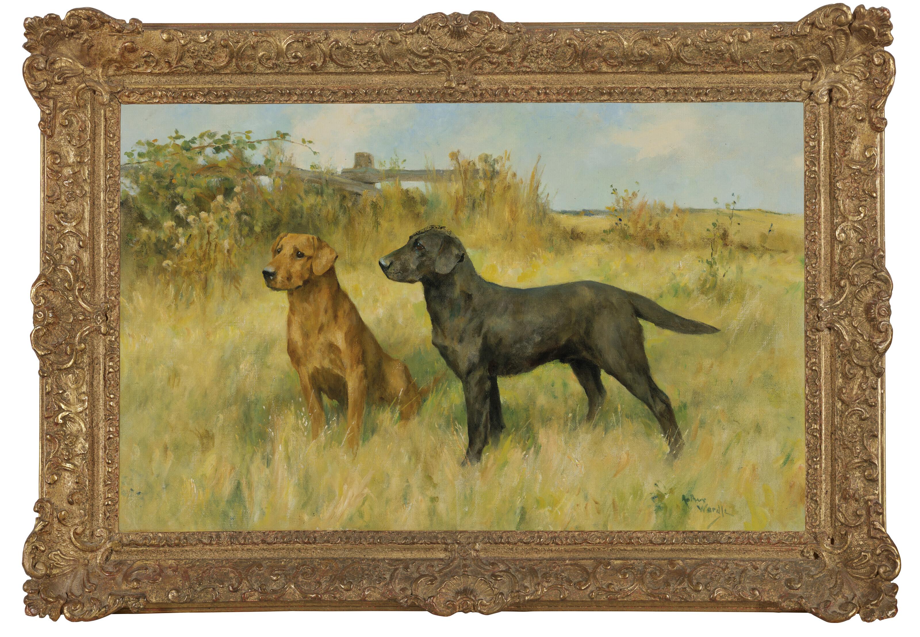 Arthur Wardle, R.I., R.B.C. - Two labradors in a field