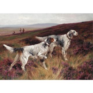 Arthur Wardle, R.I., R.B.C. - Two Setters On A Grouse Moor