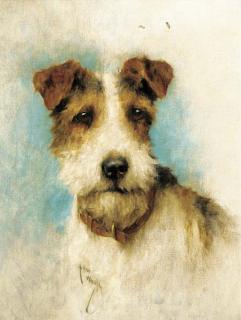 Arthur Wardle, R.I. - Bunty, a wired haired fox terrier