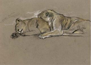 Arthur Wardle, R.I. - Sleeping Lionesses