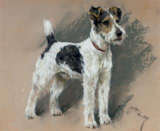 Arthur Wardle, R.I. - Study of a fox terrier