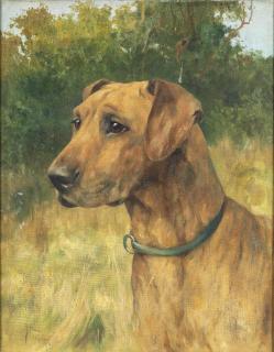 Arthur Wardle, RI - A Great Dane