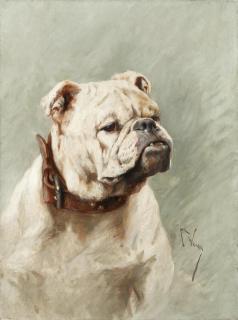 Arthur Wardle, RI - Bulldog