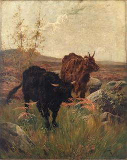 Arthur Wardle, RI - Highland cattle