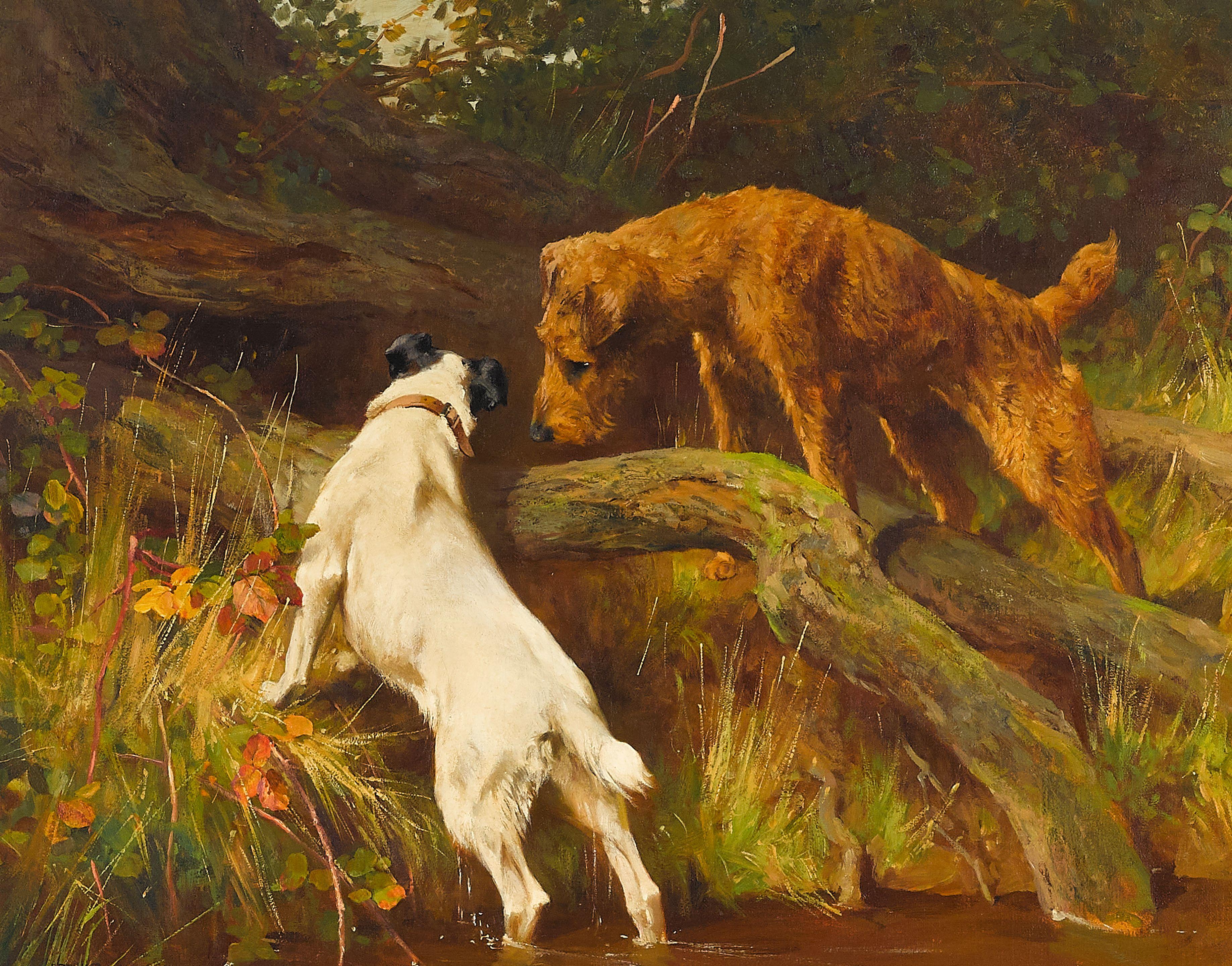 Arthur Wardle, RI - Irish and wire fox terriers inspecting a burrow