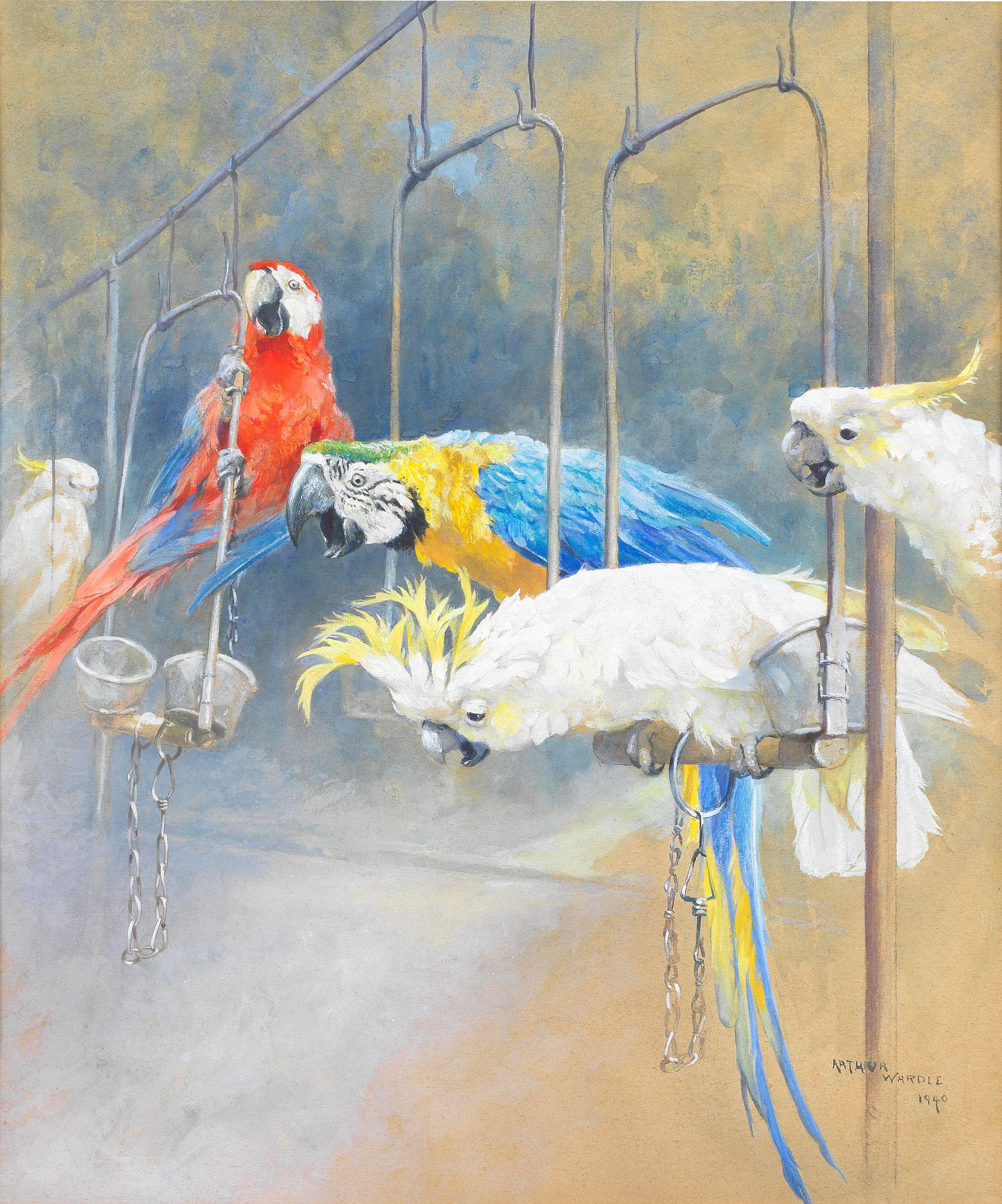 Arthur Wardle, RI - Parrots and Cockatoos