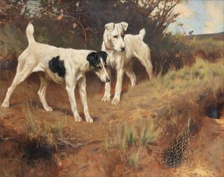 Arthur Wardle, RI - Terriers