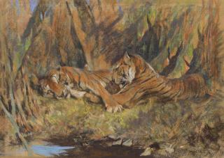 Arthur Wardle, RI - Tigers