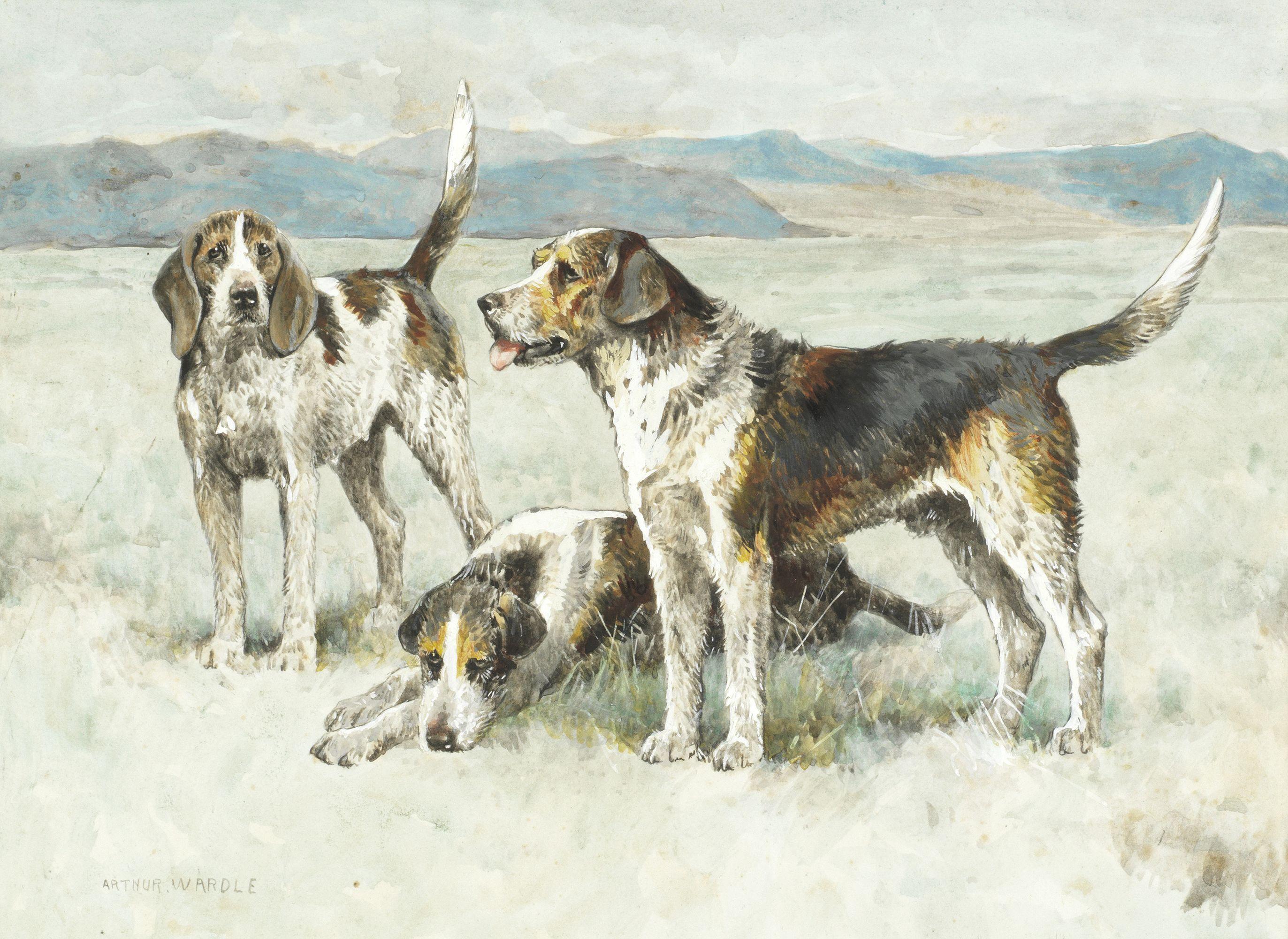 Arthur Wardle, RI - Welsh Hounds From The Packs Of The Buckley And The Hon. H.C.Wynn