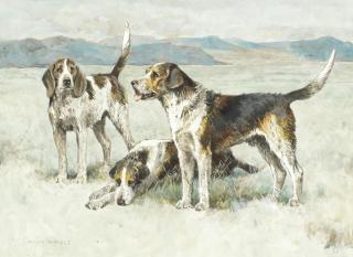 Arthur Wardle, RI - Welsh Hounds From The Packs Of The Buckley And The Hon. H.C.Wynn