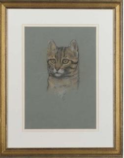 Arthur Wardle - A friendly tabby; Friends; and Study of a cat