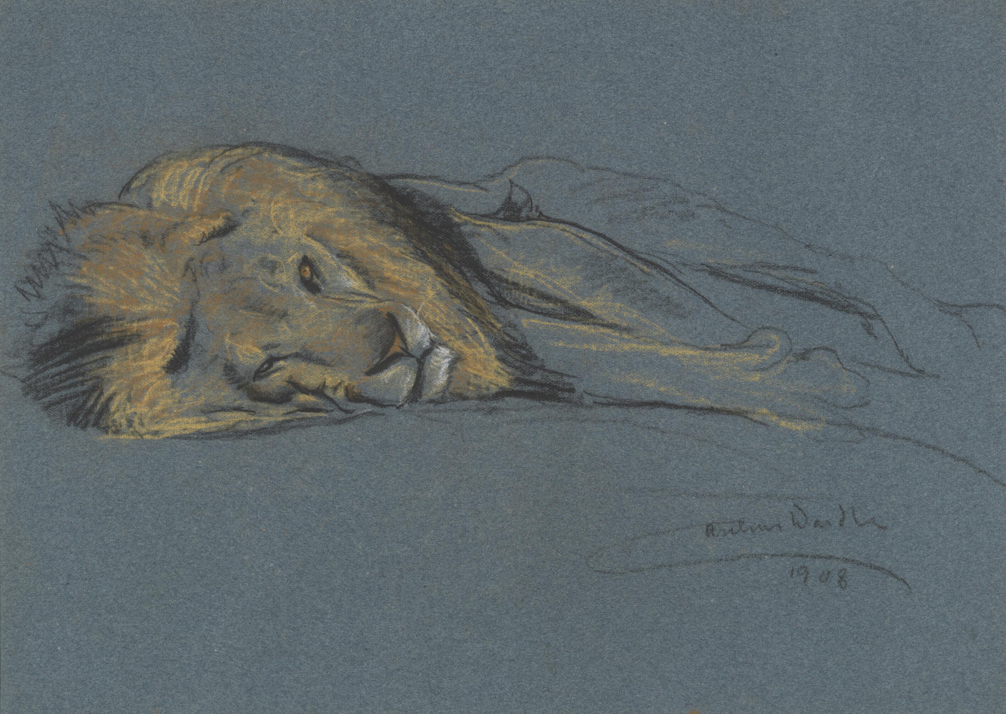 Arthur Wardle - A sleeping lion (recto); and Study of a terrier (verso)