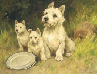 Arthur Wardle - A West Highland White Terrier and puppies in a garden