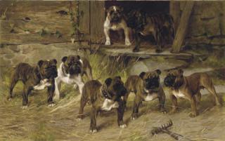 Arthur Wardle - Bulldogs of the Twentieth Century
