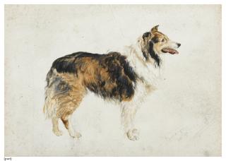 Arthur Wardle - Champagne