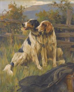 Arthur Wardle - Gun Dogs