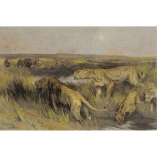 Arthur Wardle - Lions In The Savannah