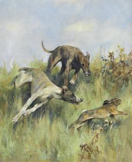 Arthur Wardle - Rabbits Pursued By Greyhounds