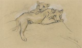 Arthur Wardle - Sleeping lions