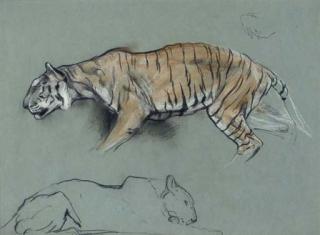 Arthur Wardle - Study of two tigers