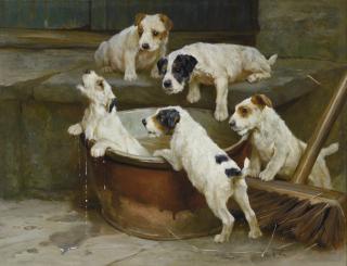 Arthur Wardle - The First Bath - Wire Fox Terrier Puppies