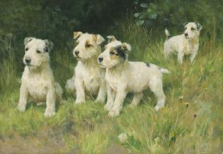 Arthur Wardle - The Rising Generation