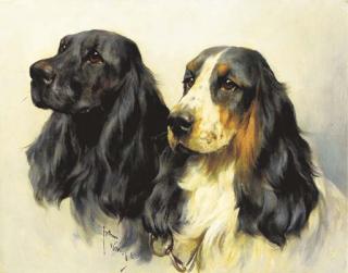 Arthur Wardle - Two Cocker Spaniels