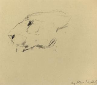 Arthur Wardle - Two sketches of a lion\'s head together with a rough sketch of horse\'s legs