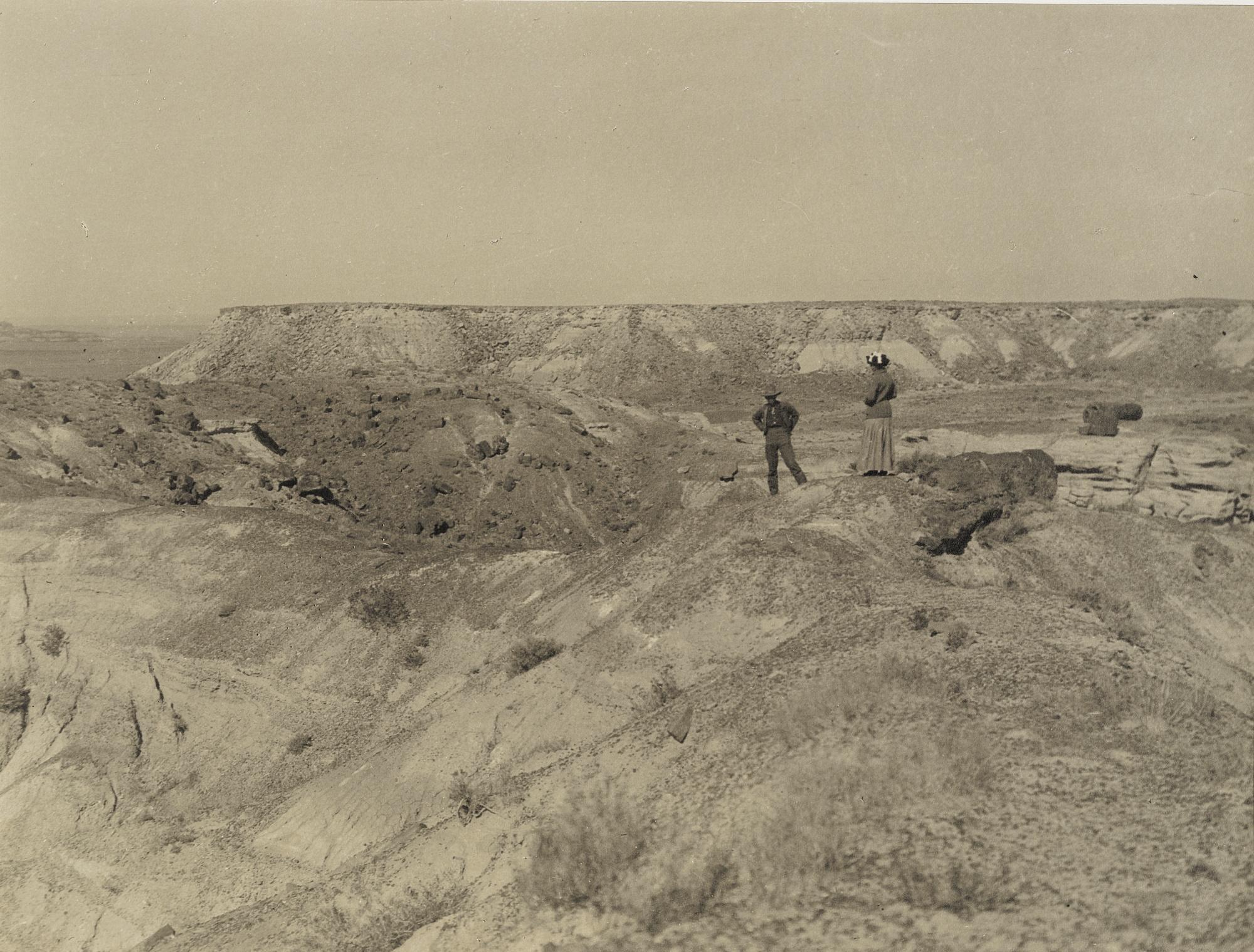 Arthur Wesley Dow - \'First Forest - Guide And Miss Yorke\'