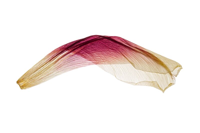 achim-weinberg_fluegel-2